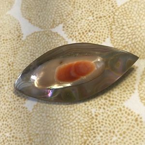 Vintage Abalone Brooch